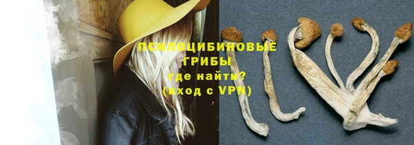 крисы Саяногорск