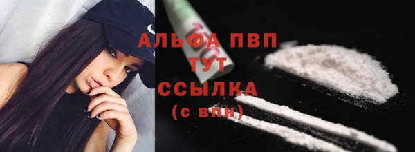 спиды Аркадак