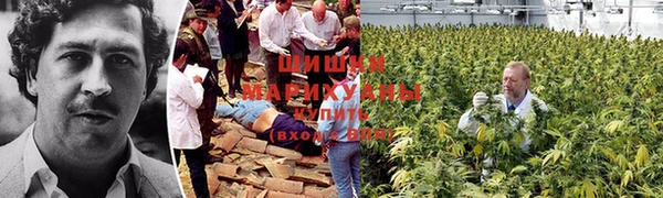 прущая мука Армянск