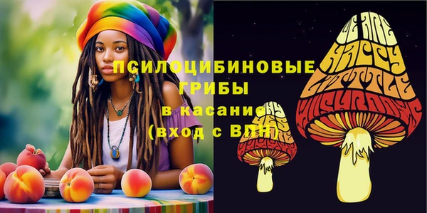 прущая мука Армянск