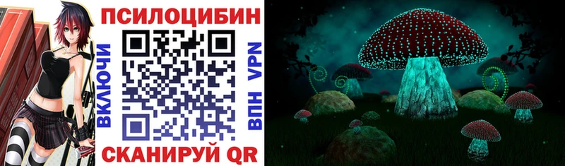 Галлюциногенные грибы Cubensis  где найти   Беломорск 
